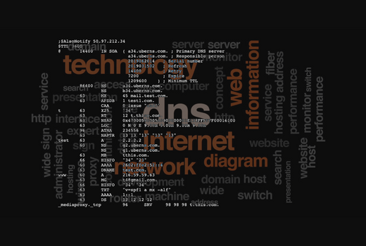 Try-Catch Lab - DNS Configuration Programming