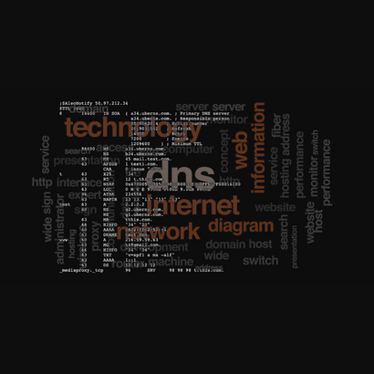 Try-Catch Lab Portfolio - DNS Configuration Programming